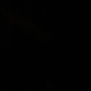 Meet your Posher, Elsa